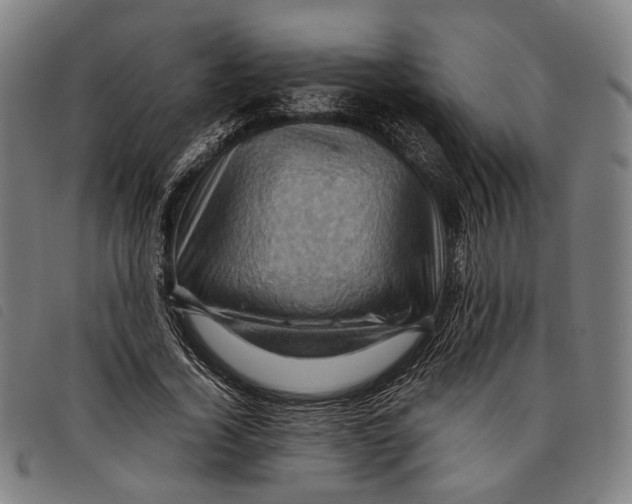 X0000097830732200804041420