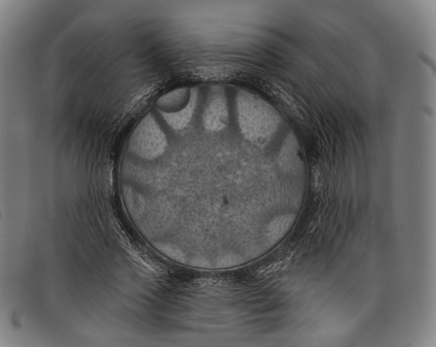 X0000097830733200804041420