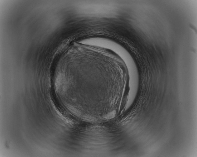 X0000097830734200804041421