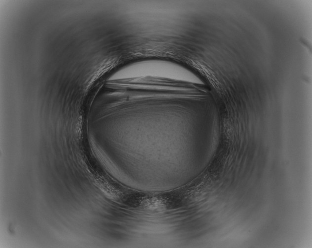 X0000097830735200804041421