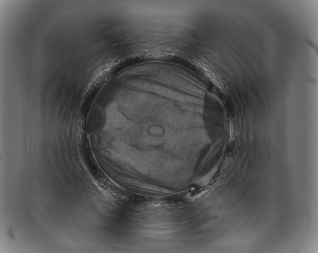 X0000097830736200804041421