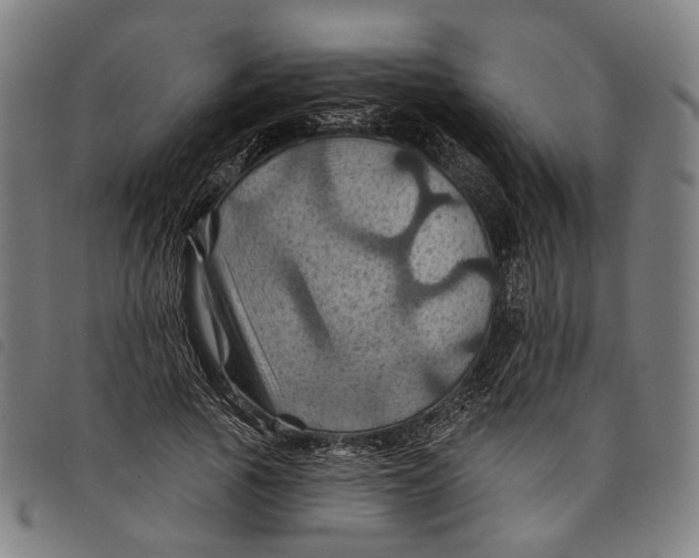 X0000097830737200804041421