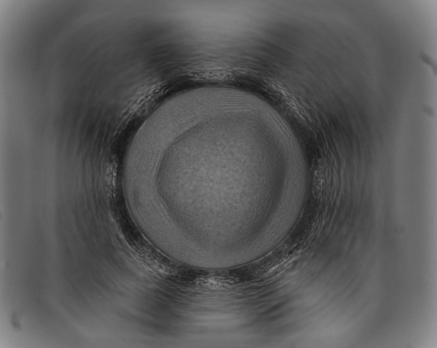 X0000097830739200804041421