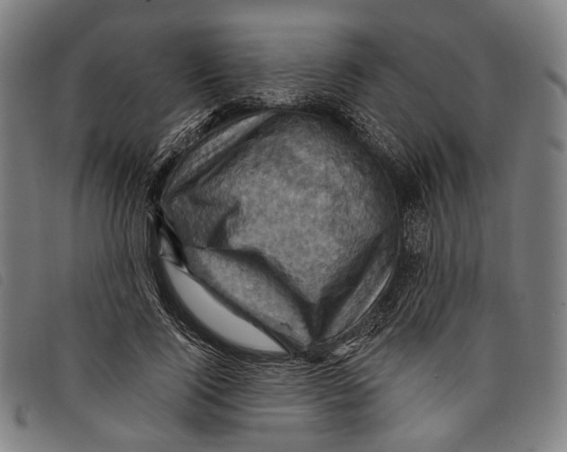 X0000097830740200804041421