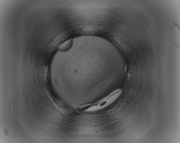 X0000097830742200804041421