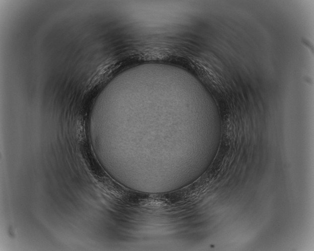 X0000097830743200804041421