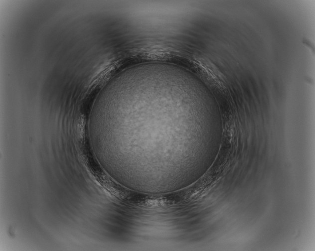 X0000097830744200804041421