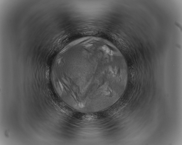 X0000097830745200804041421