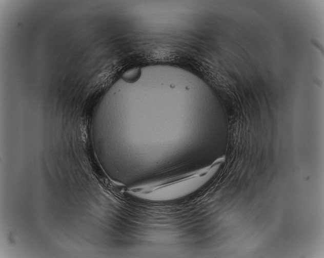 X0000097830746200804041421