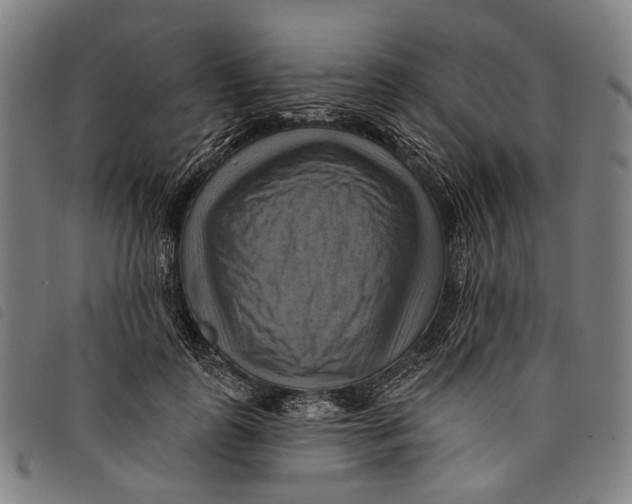 X0000097830747200804041421