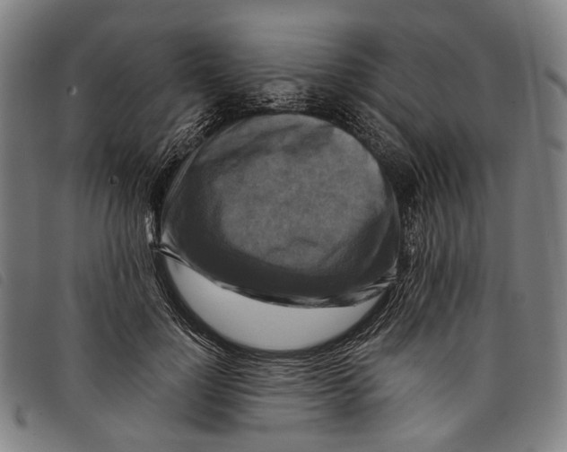 X0000097830748200804041421