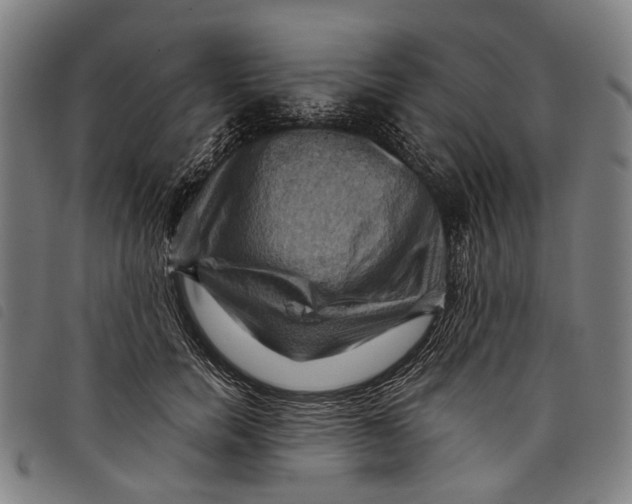 X0000097830750200804041421