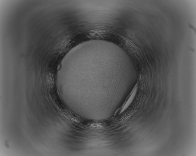 X0000097830751200804041421