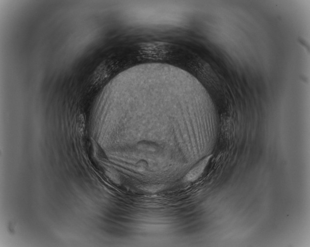 X0000097830752200804041421