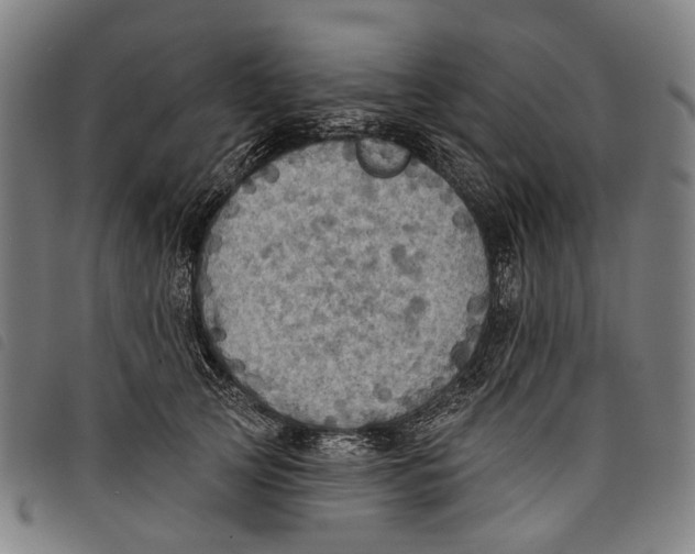 X0000097830753200804041421