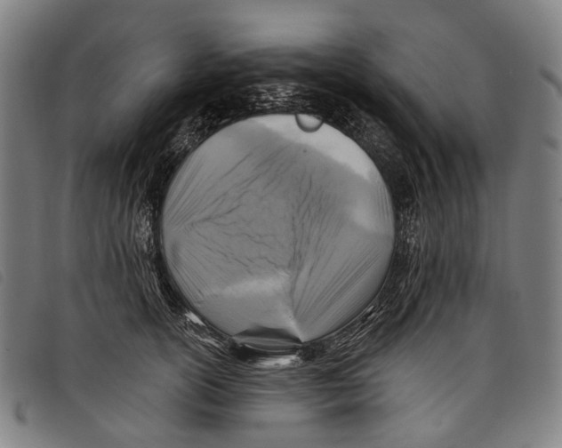 X0000097830754200804041421