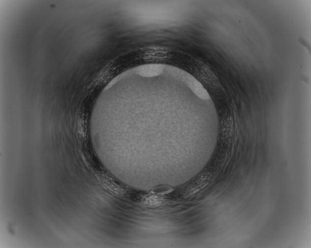 X0000097830755200804041421