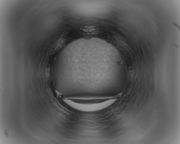 X0000097830756200804041421