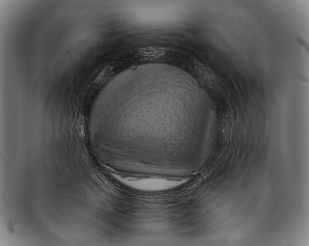 X0000097830758200804041421