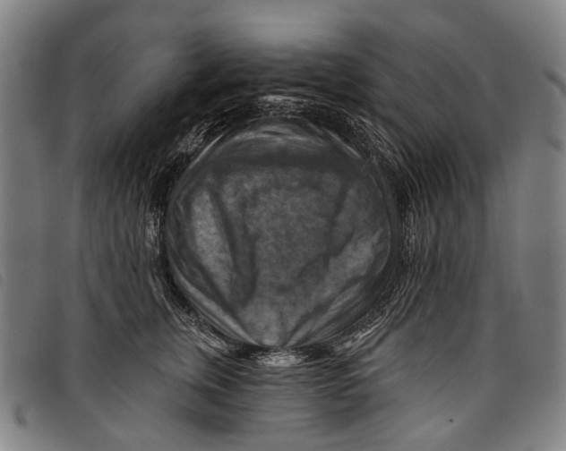 X0000097830759200804041421