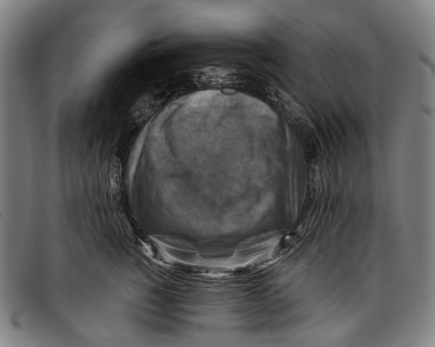 X0000097830760200804041421