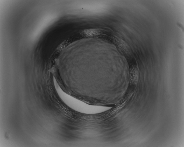 X0000097830762200804041421