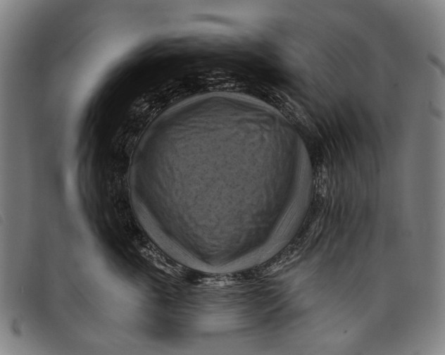 X0000097830763200804041421