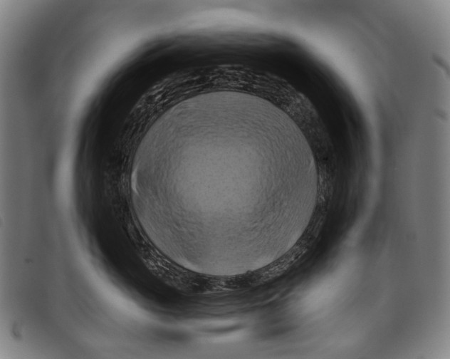 X0000097830765200804041421