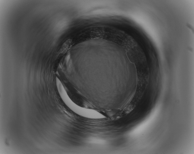 X0000097830766200804041421