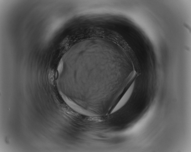 X0000097830767200804041421