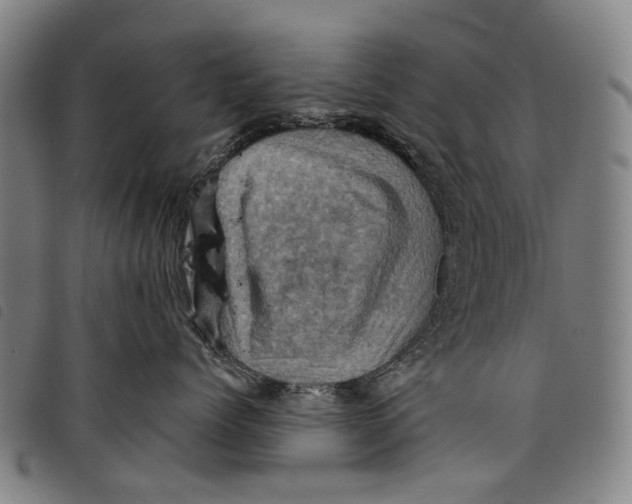 X0000097830768200804041421