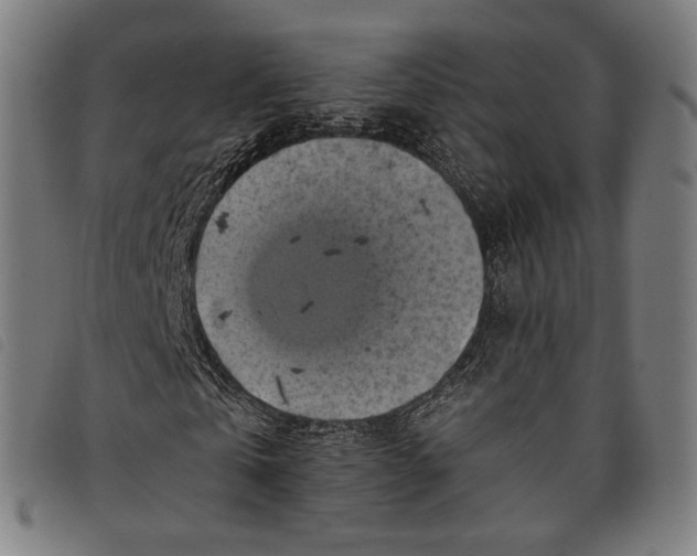 X0000097830769200804041420