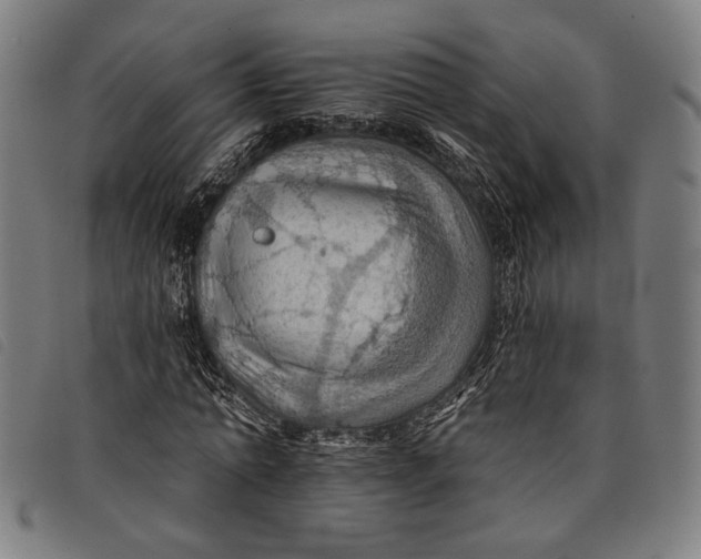 X0000097830774200804041420