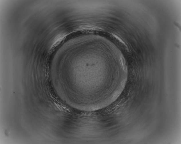 X0000097830775200804041420