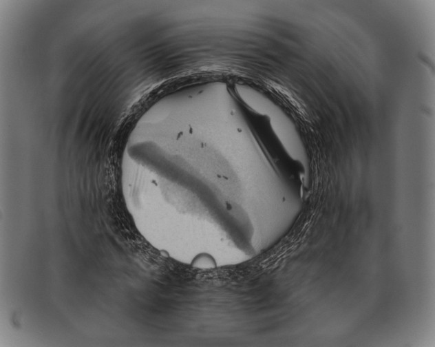 X0000097830776200804041420