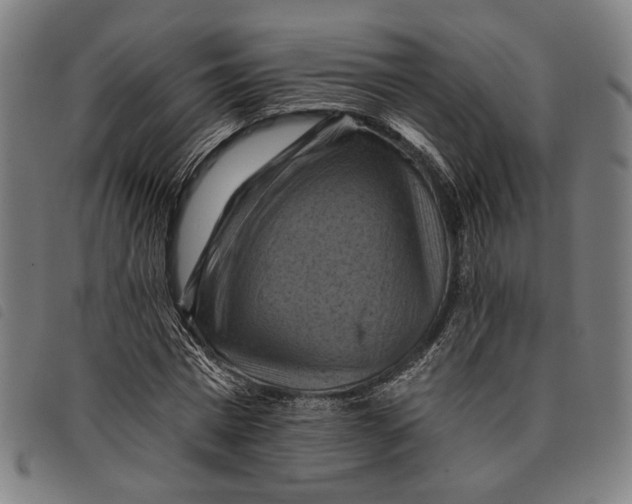 X0000097830777200804041420