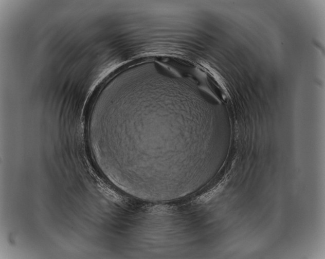 X0000097830779200804041420