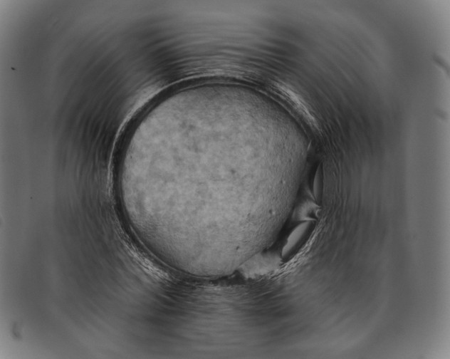 X0000097830780200804041420