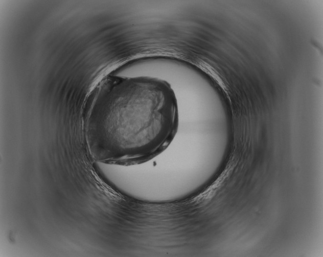 X0000097830781200804041420