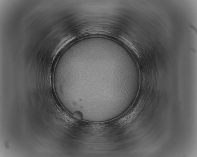 X0000097830782200804041420