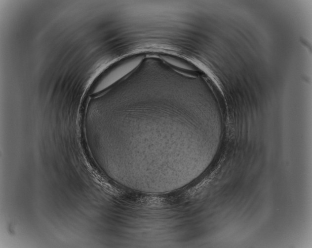 X0000097830783200804041420