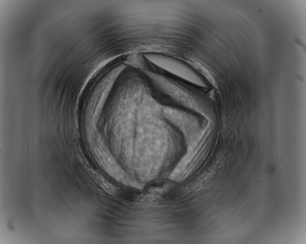 X0000097830784200804041420