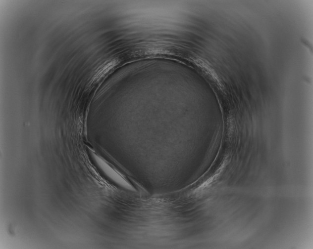 X0000097830785200804041420