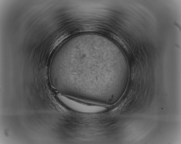 X0000097830786200804041420