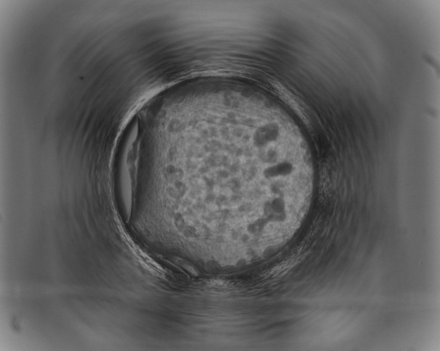 X0000097830787200804041420