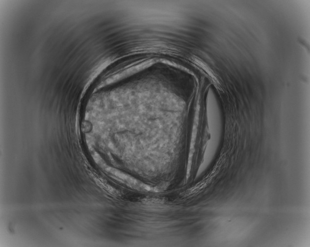 X0000097830788200804041420