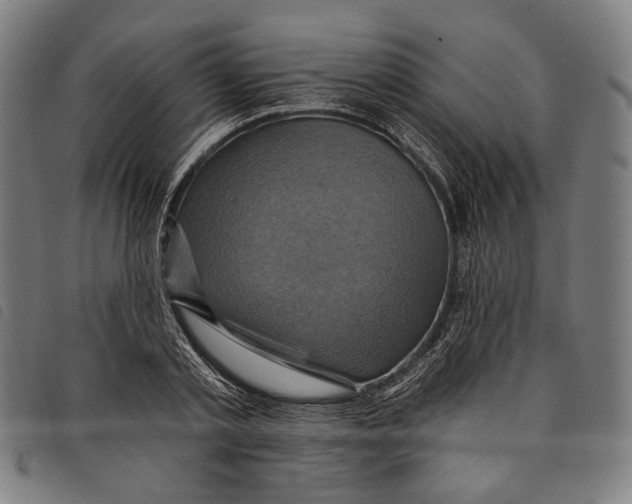 X0000097830789200804041420