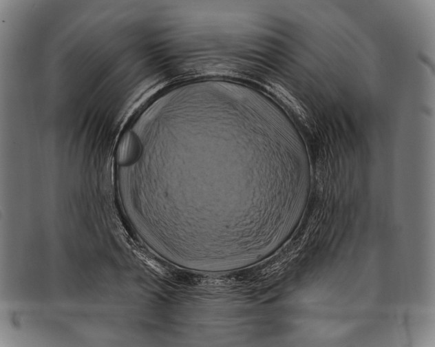 X0000097830790200804041420