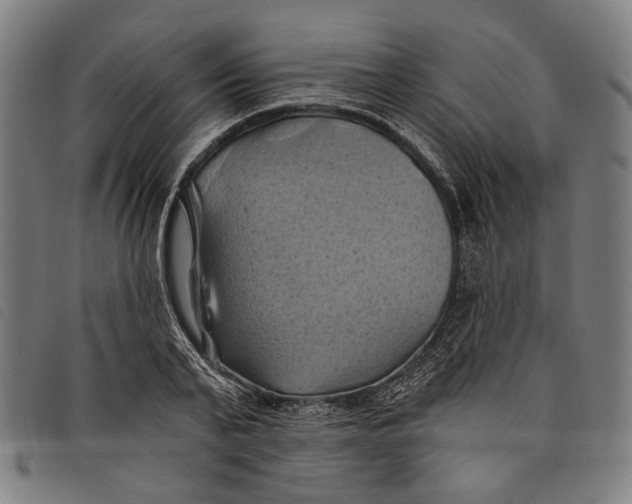 X0000097830791200804041420