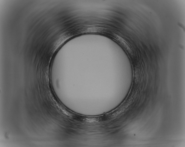 X0000097830794200804041420